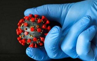 За останню добу зафіксували 12 287 нових випадків коронавірусу (24 листопада)