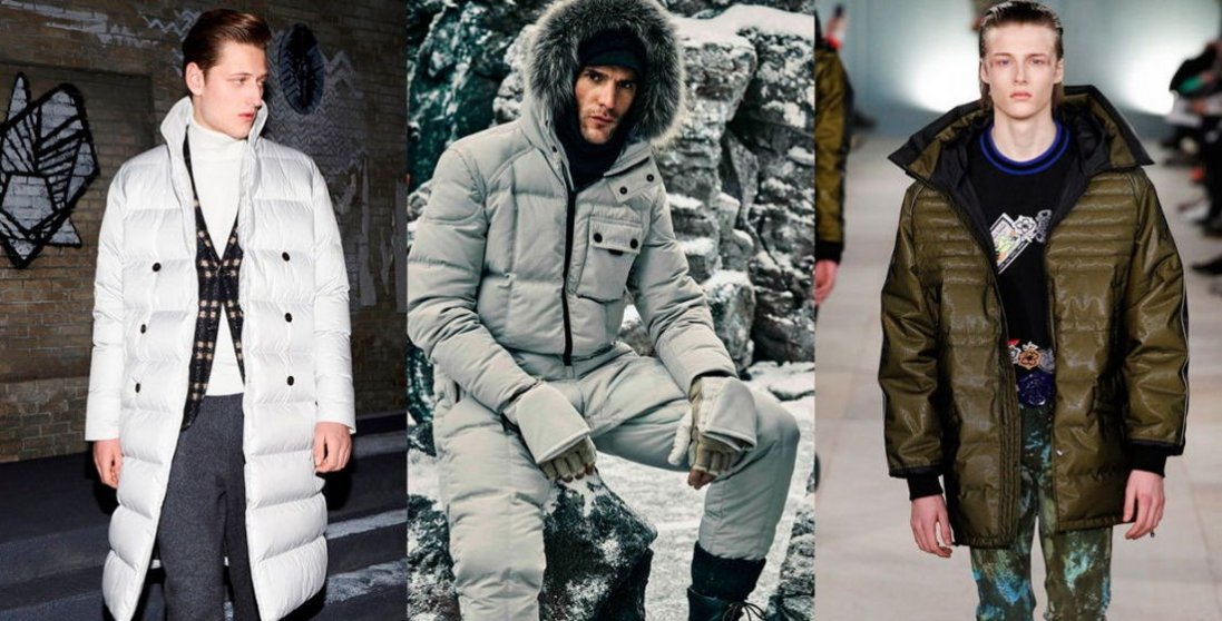 Особливості пуховиків