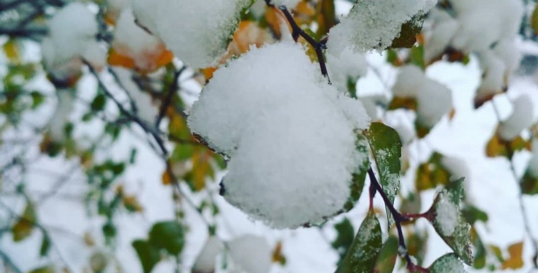 Україну засипало снігом: які області постраждали