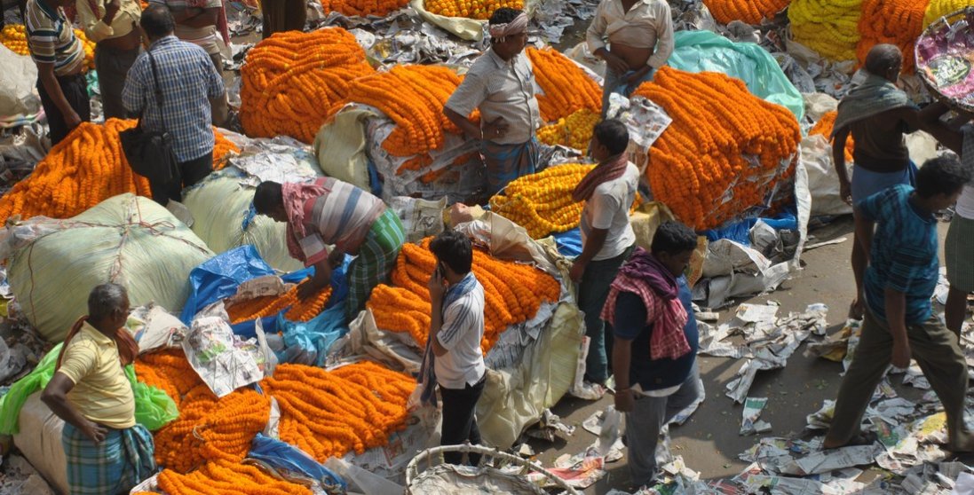 Індія в паніці: від невідомої хвороби масово госпіталізували понад 300 людей