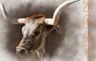 Новий 2021 рік: що символізує та у яких кольорах зустрічати