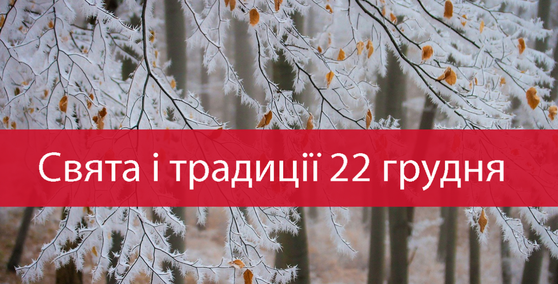 22 грудня: чому в цей день не можна ходити до лісу