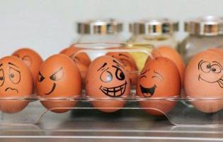 Коричневі та білі яйця: які варто купувати і чому