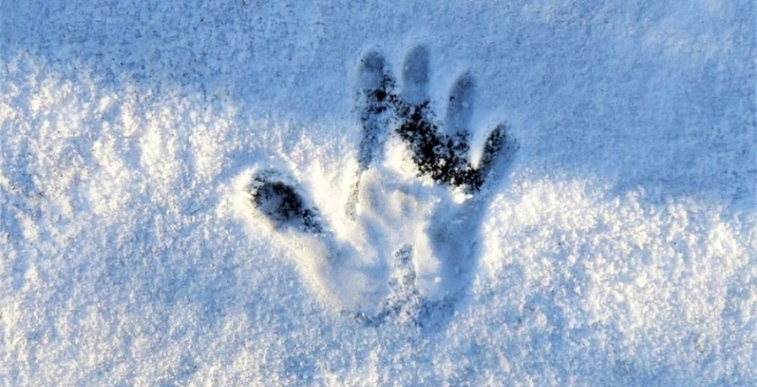 На Миколаївщині знайшли тіло замерзлого парубка