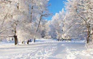 Де в Україні найкрасивіша зима: казкові пейзажі