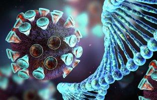 В Україні – 3 915 нових випадків коронавірусу, на Волині – 73 (24 січня)