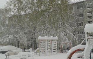 Україну засипає снігом: погодні умови погіршуються