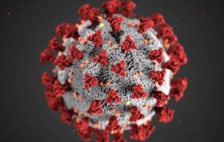 ВООЗ назвала найімовірнішу причину походження пандемії COVID-19