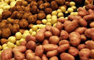 В Україні збільшився імпорт картоплі: що відомо