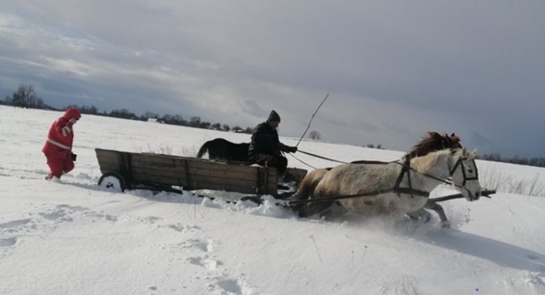 У Житомирської області пацієнтку везли до «швидкої» на конях