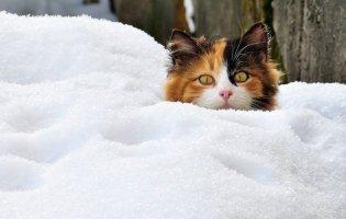 В Україну повертається сніг та холод
