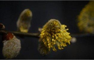 Вихідні в березні 2021: коли українці будуть відпочивати