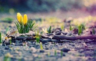 Яким буде в Україні початок весни: прогноз погоди шокує