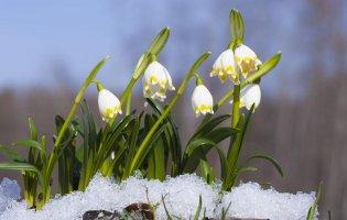 Синоптики попереджають волинян про похолодання
