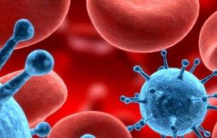 Вдруге у світі: британець вилікувався від ВІЛ стовбуровими клітинами