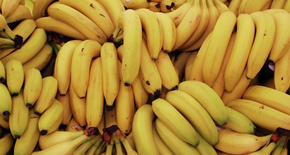 Банан може цвісти протягом декількох місяців  