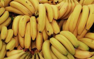 Банан може цвісти протягом декількох місяців  