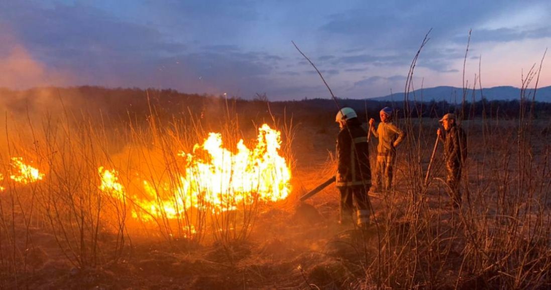 На Закарпатті - пожежа в заповіднику: вигоріла Долина нарцисів