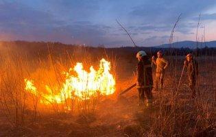 На Закарпатті - пожежа в заповіднику: вигоріла Долина нарцисів