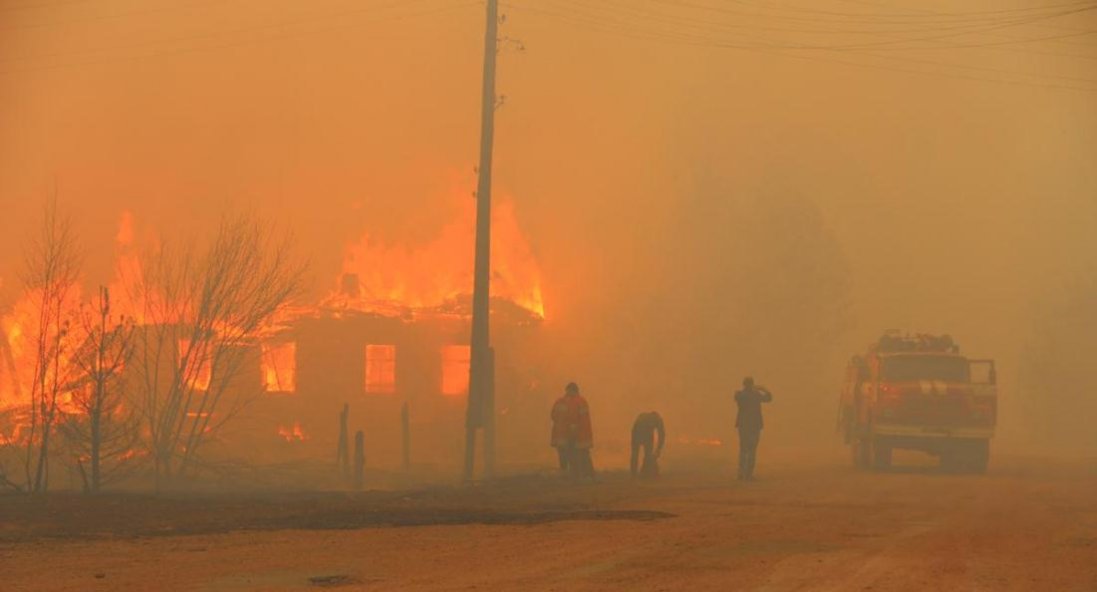 На Житомирщині три людини отримали опіки: вони палили траву