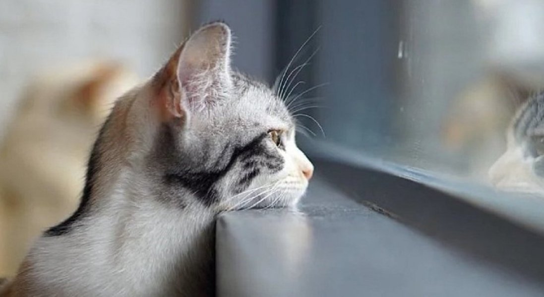 На Благовіщення Україну охопить холодний циклон з мокрим снігом