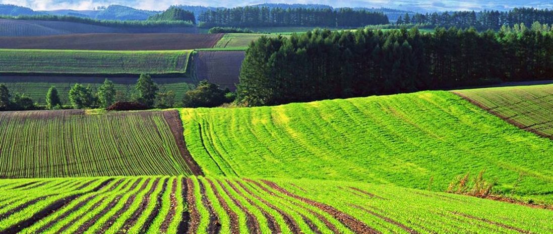 Держгеокадастр і далі «роздає» на Волині землі, які мали б належати громадам (документи)