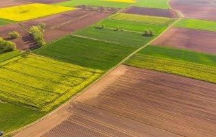 В українців можуть забрати право на отримання безкоштовної землі