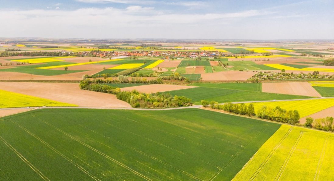 Земельна реформа: в Україні ухвалили ключовий закон