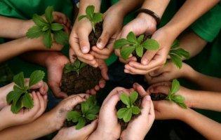 Зачіски, макіяж і фотосесія: до Дня матері 15 жінок візьмуть участь у цікавому проекті