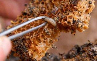 «Хто приймав цю настоянку, перехворів коронавірусом у легкій формі»