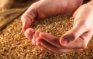 10 травня: чому сьогодні не можна їсти зерно