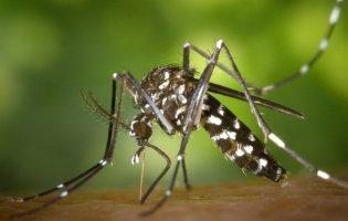 В Україні - п'ять випадків малярії: один - летальний
