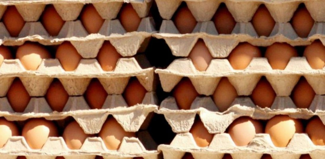 В Україні знизилась ціна на яйця