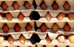 В Україні знизилась ціна на яйця