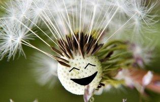 Вихідні у червні 2021: скільки відпочиватимуть українці