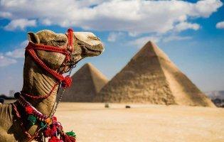 Єгипет повернув візовий збір для туристів: скільки доведеться платити