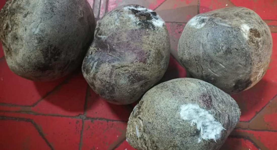 У Миколаєві школярів годували продуктами з цвіллю