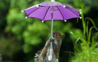 Україну накриє різке похолодання з грозами