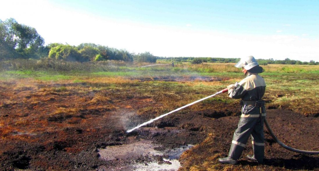 Торф'яні пожежі у Ржищеві: радник голови Луцької райради Юрій Ройко вимагає зупинити екологічне лихо
