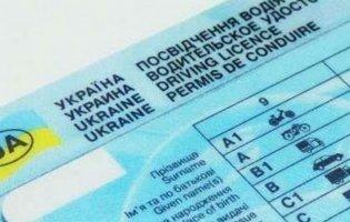 В Україні припинили видавати водійські посвідчення