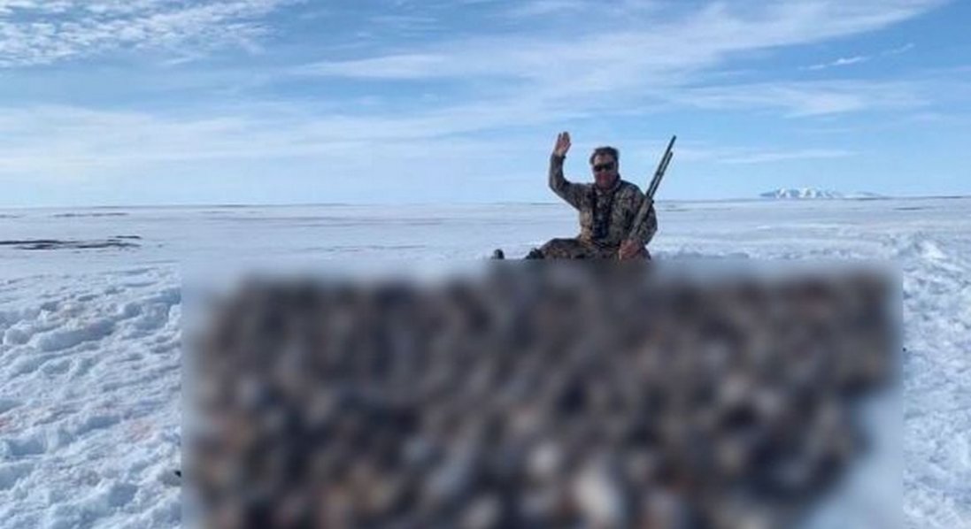 Депутат з партії Путіна виклав на снігу напис з майже 200 убитих птахів