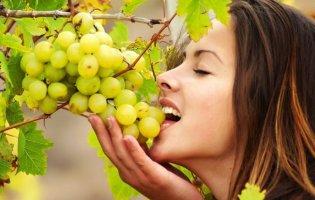 Чому сон про виноград найбажаніший для жінок