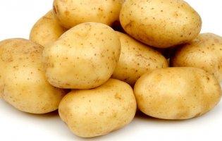 Вчені: картопля понижує тиск