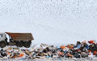 Біля Луцька планують розширити сміттєвий полігон