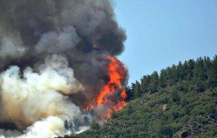 У Туреччині - лісові пожежі біля курортного міста: є загиблий