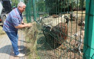 Підгайцівська громада подарувала Луцькому зоопарку майже тонну екологічно чистого сіна