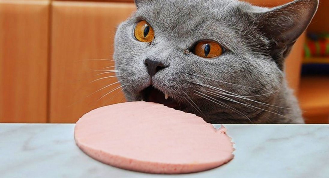 Самі наглі люди за знаком Зодіаку