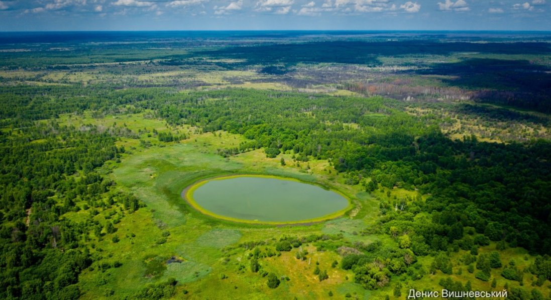У Чорнобилі на недослідженій ділянці знайшли «око Полісся»