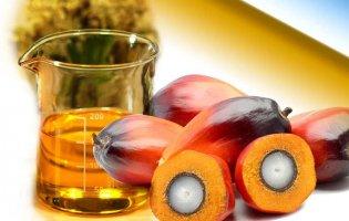 Як просто виявити у продуктах пальмову олію: поради дієтолога
