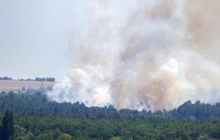 «Хортиця палає»: в Запоріжжі горів сосновий ліс
